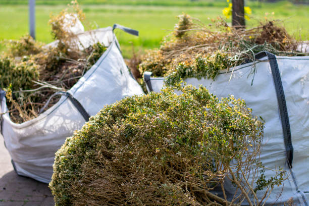 Junk Removal for Events in Colorado City, AZ
